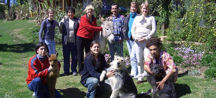 Leben und Arbeiten in Chile