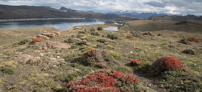 Chile - Patagonien