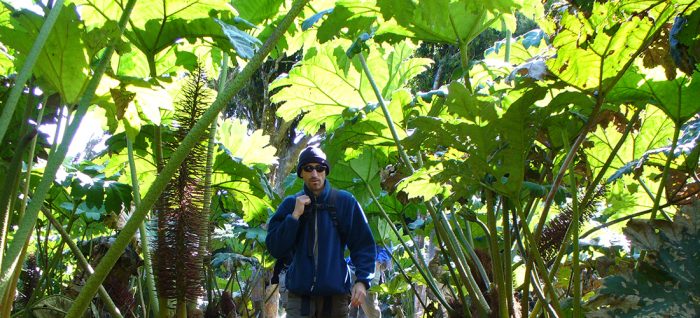 Robinson Crusoe