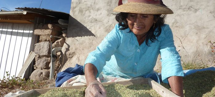 Aymara