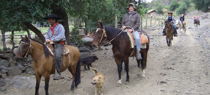 Pferdetrekking