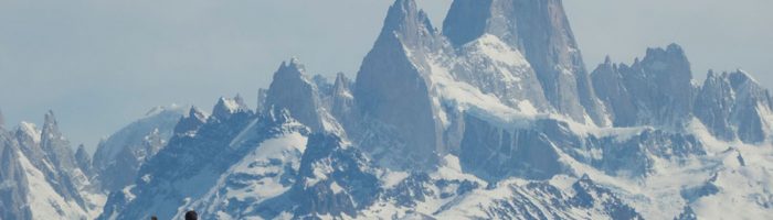 Berggiganten Patagoniens