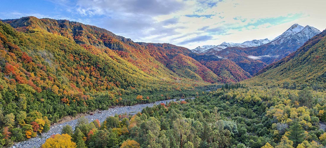 Parque Tricahue - trekkingchile
