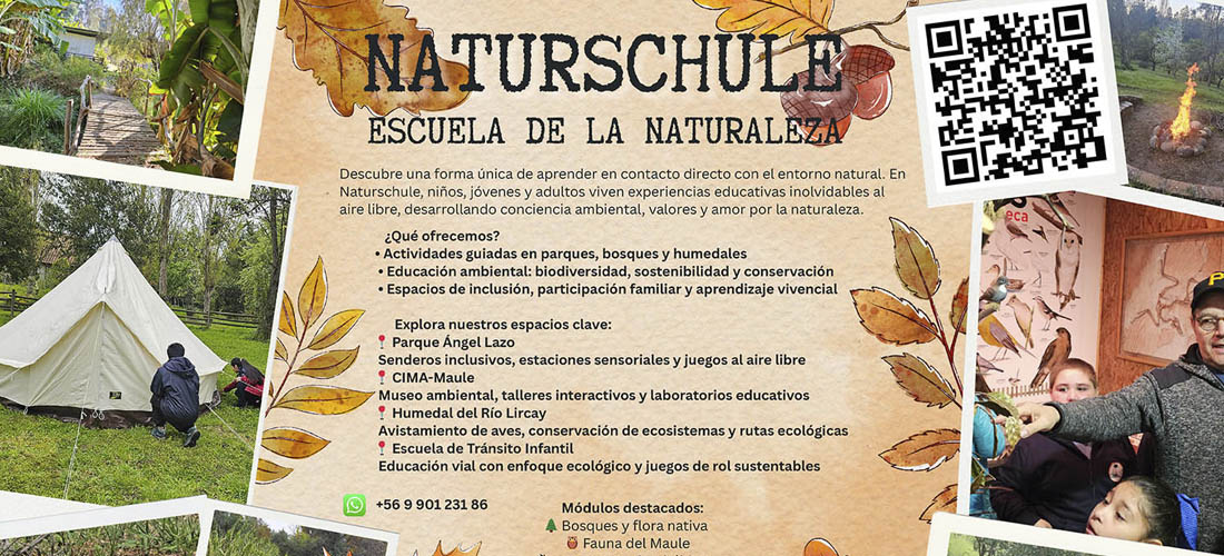 Historia - trekkingchile